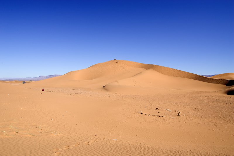 Desert Dune