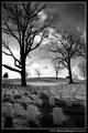 NatlCemetery3.jpg