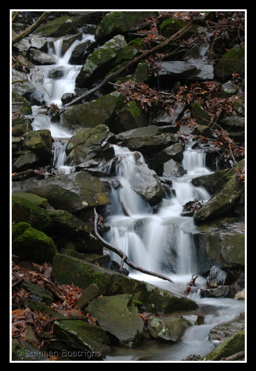 Stream - Monteagle, TN