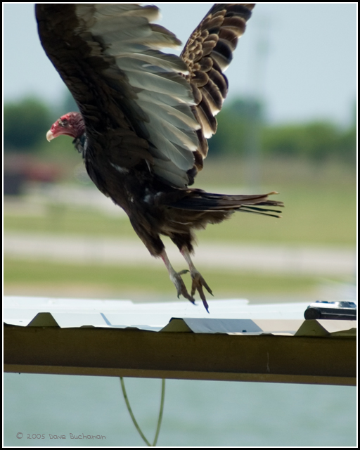 DSC_4670_edited-1.jpg