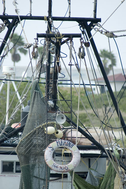 DSC_3309.jpg