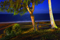Moon-Light-Night.jpg