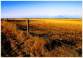 A-Land-of-Sweeping Plains.jpg