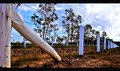 Vanishing in the Outback.