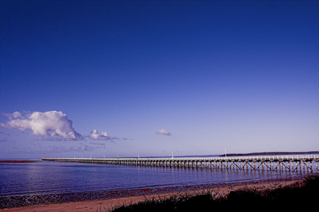 Low Tide & Clear Skys
