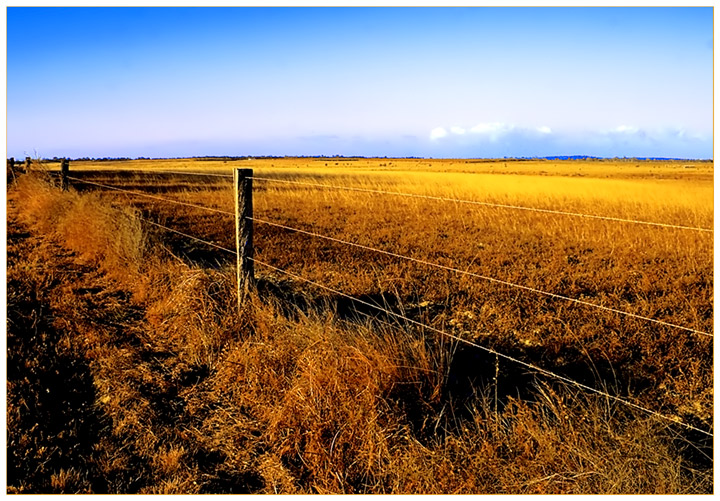 A-Land-of-Sweeping Plains.jpg