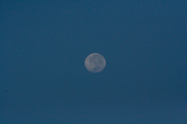 Moon at  early morn.-5054.jpg