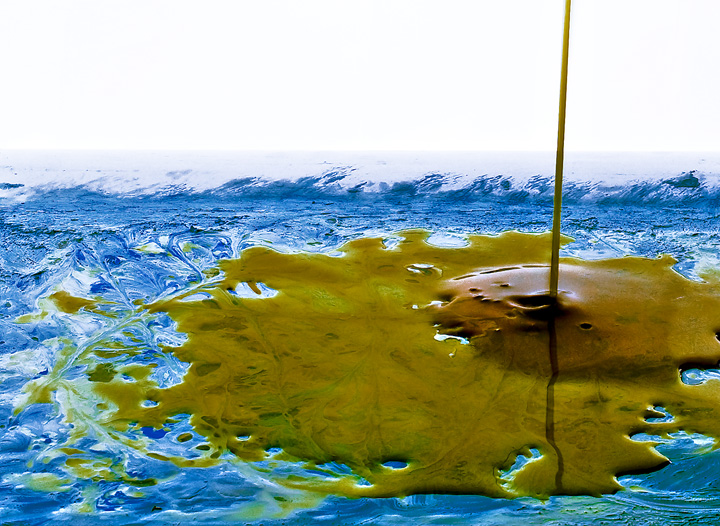Polluting Our Oceans