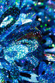 Abstract Macro - outtake3