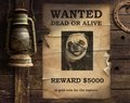 Wanted?