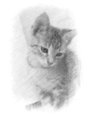 Bijou