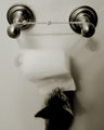 Toilet Paper outtake 3