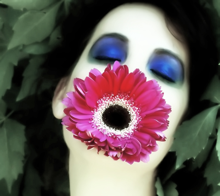 flower II c