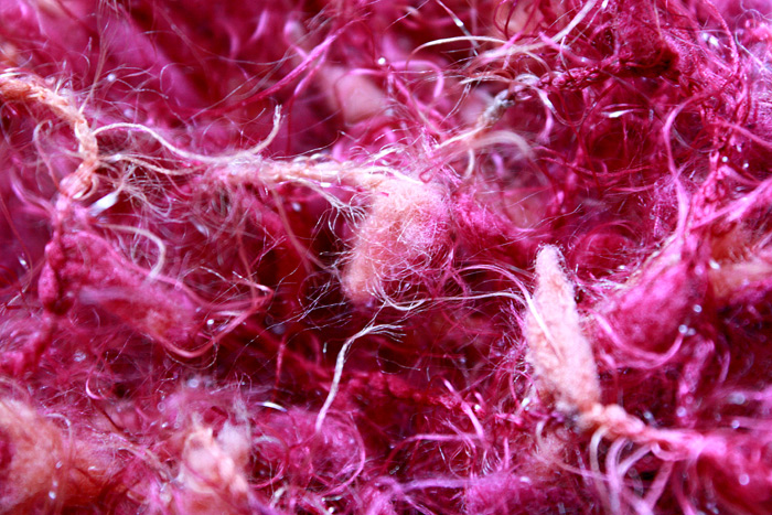 Abstract Macro - outtake2