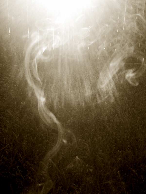 Day 24 - Ascension