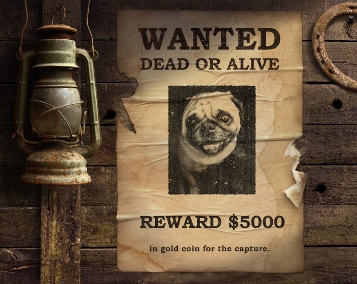 Wanted?