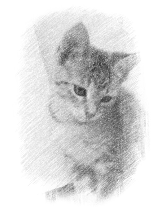 Bijou