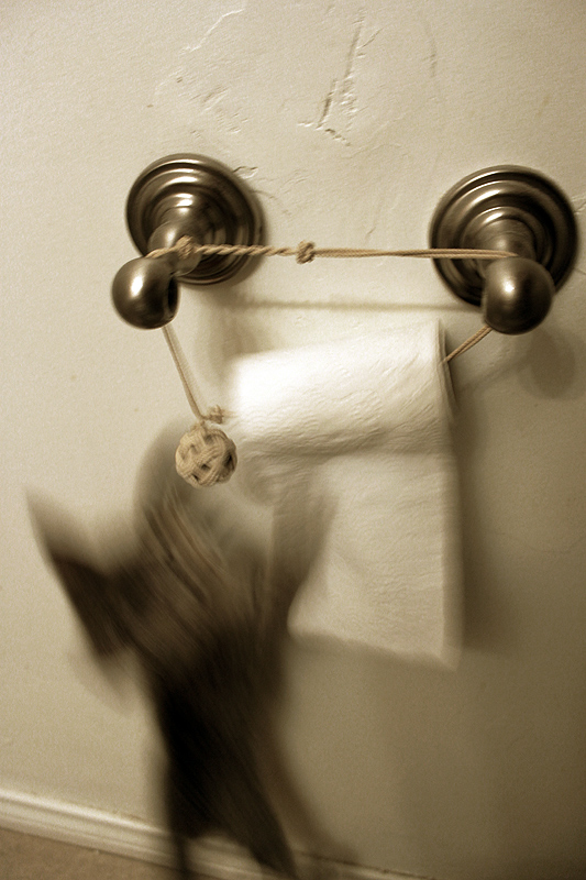 Toilet Paper outtake 1