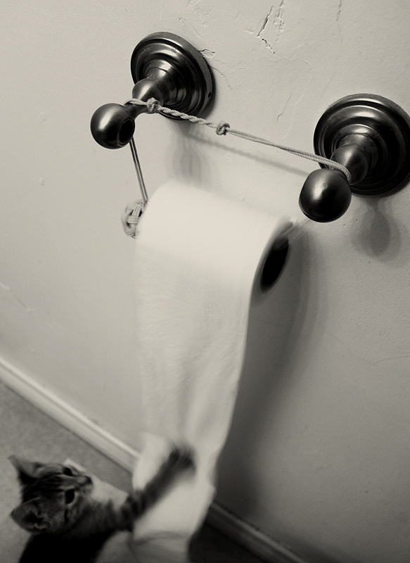 Toilet Paper outtake 2