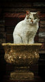 DSC_5891_small.jpg