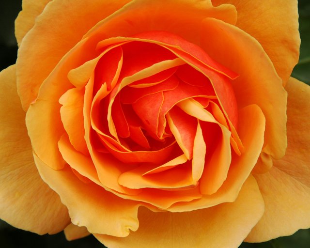 DSC_9037.JPG