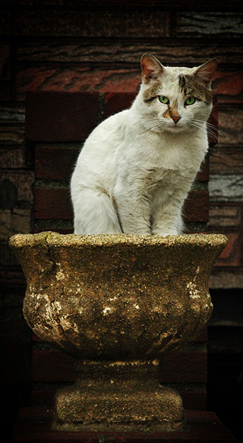 DSC_5891_small.jpg
