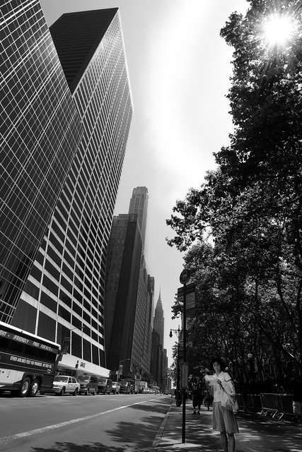 DSC_1449-8x12.jpg