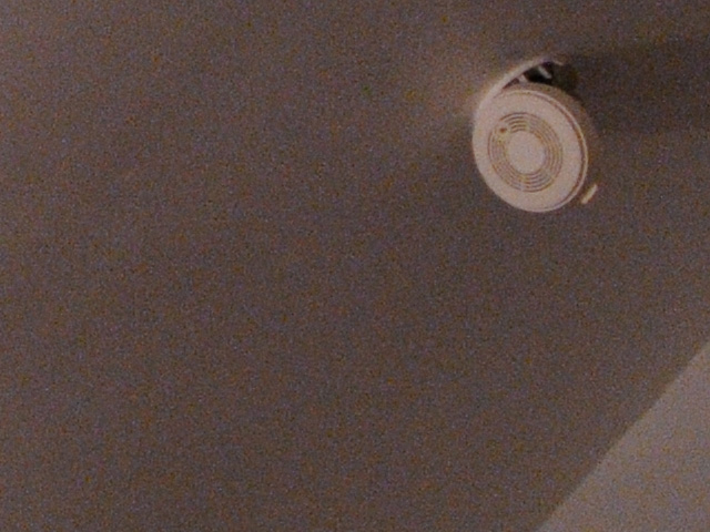 D300_1600p1.jpg