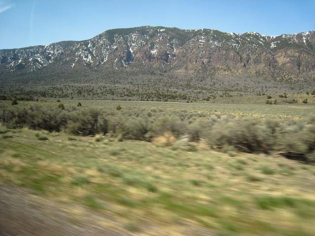 IMG_3375.jpg