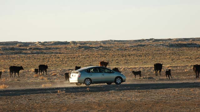 DSC_0702.jpg