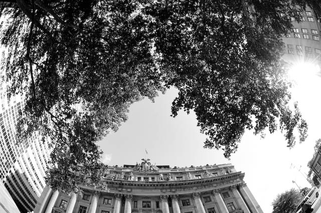 300_5806.jpg