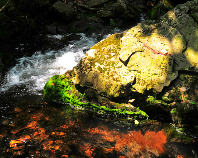 300_6061.jpg