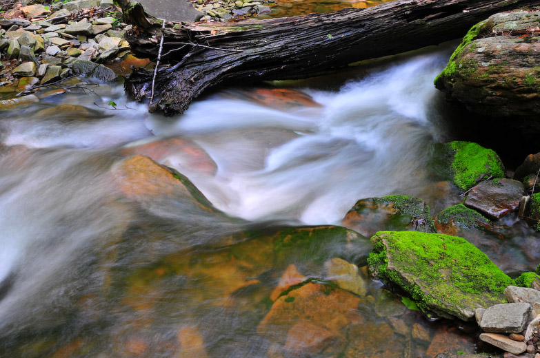 300_6150.jpg