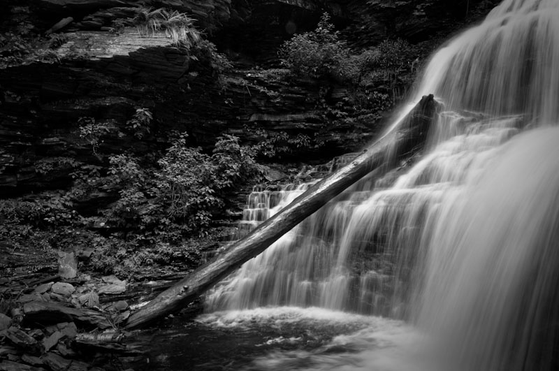 300_5719.jpg