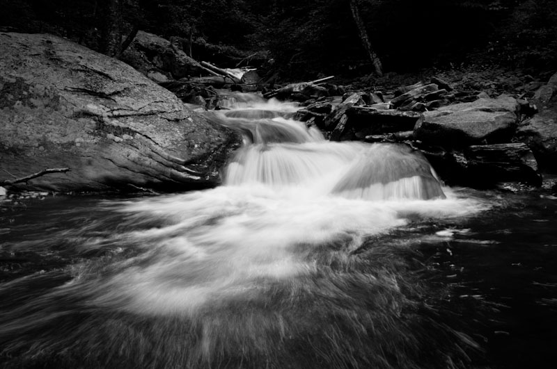 300_5730.jpg