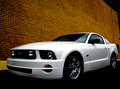 My New Ride