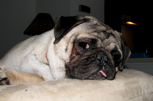 106_0650 copy.jpg