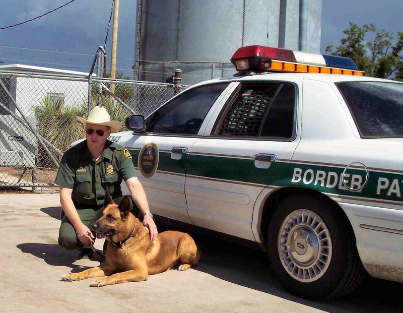 Border Patrol Dog