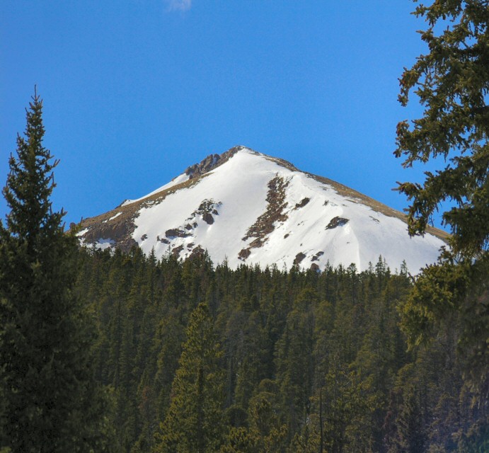 Base of the Tree Line