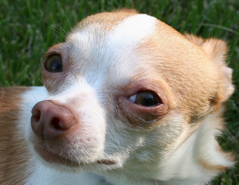 What you lookin at?