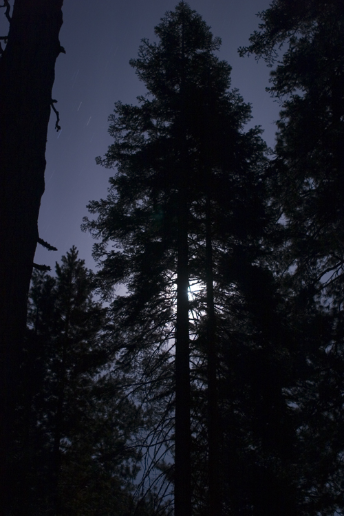 Yosemite_7639_small.jpg