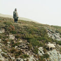 The last shepherd