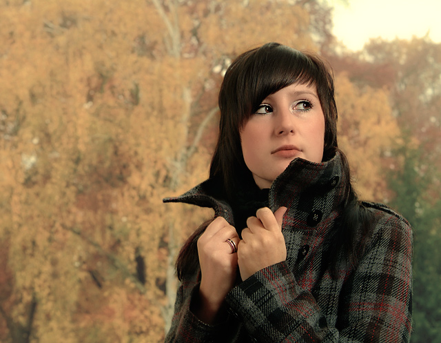 fall study IV
