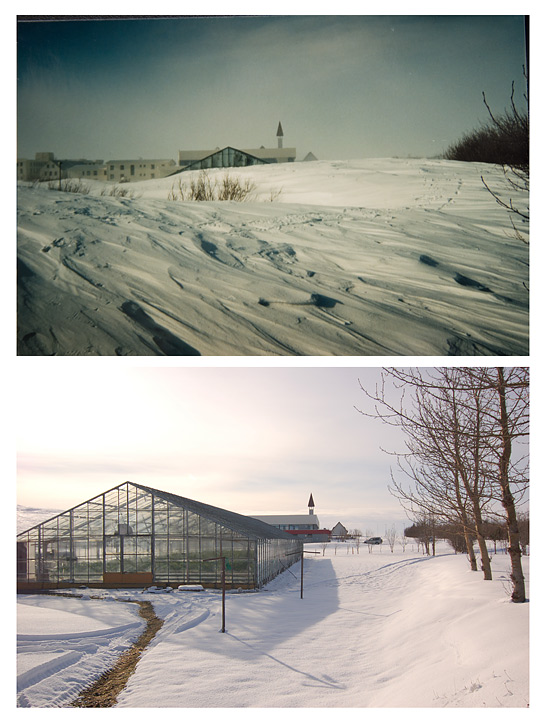 winter in Reykholt, greenhouse
