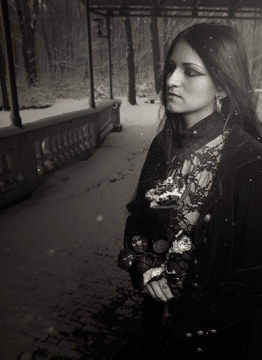 black rose