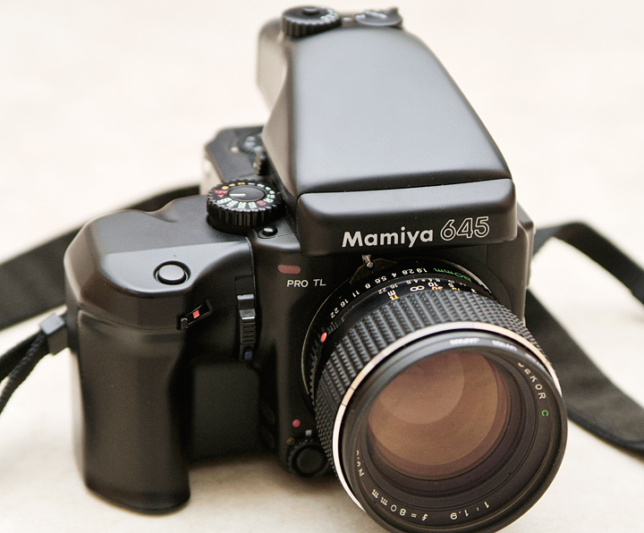 mamiya