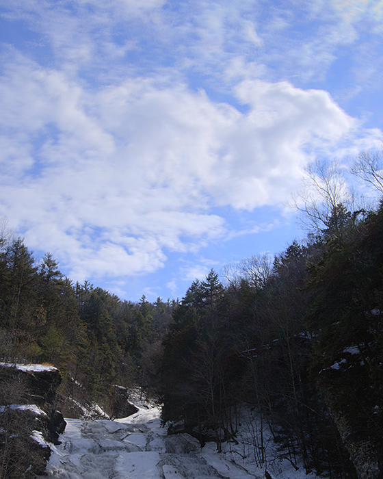 IMG_8386_4_5b.jpg