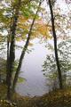 Fogged in Pond