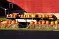 Pumpkins at Roadside Market