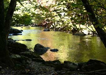 Emerald Brook
